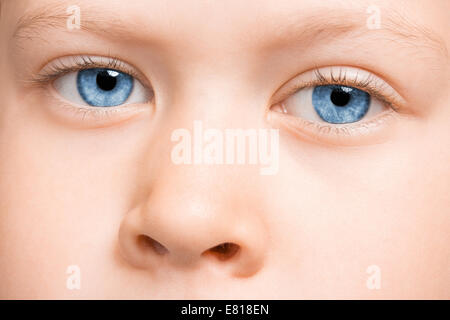 Beautiful blue eye macro shot, macro Stock Photo