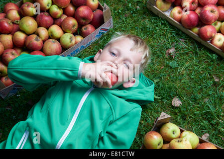 Child blond boy lying on the green grass background with apples, holding apple. Make faces, funny grimace Stock Photo