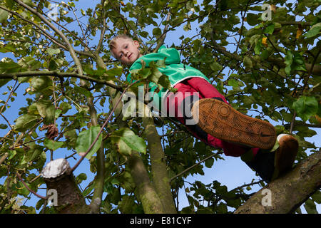 Child blond Boy standing or climbing in apple tree, autumn Stock Photo