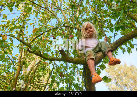 Little blond child girl climbing on a apple tree in the garden Stock Photo