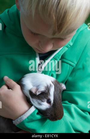 Portrait of Child blond Boy with guinea pig in arms Stock Photo