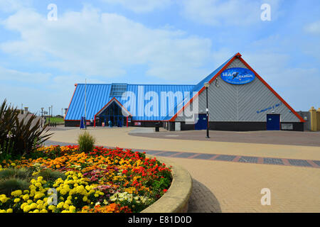 SeaQuarium, East Parade, Rhyl (Y Rhyl), Denbighshire (Sir Ddinbych), Wales, United Kingdom Stock Photo