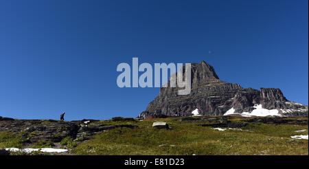Clements Mountain at Logan Pass in Glacier National Park, Montana. Stock Photo