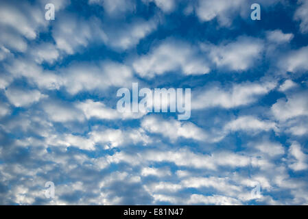 Cirrocumulus clouds, small fluffy clouds, Germany Stock Photo