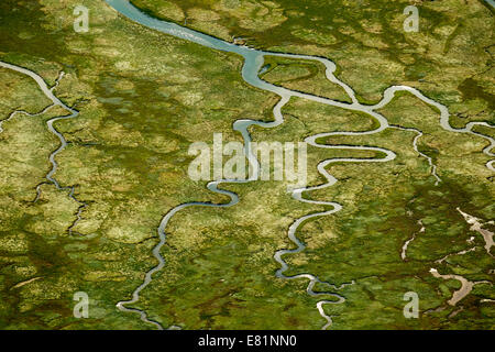 Aerial view, Ostheller outland, salt marshes with tidal creeks, Norderney, island in the North Sea, East Frisian Islands Stock Photo