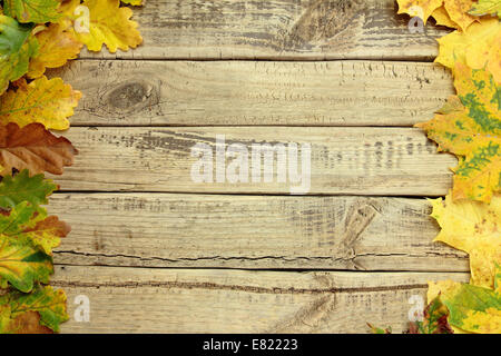 Autumn background with colors leafs on wooden board Stock Photo