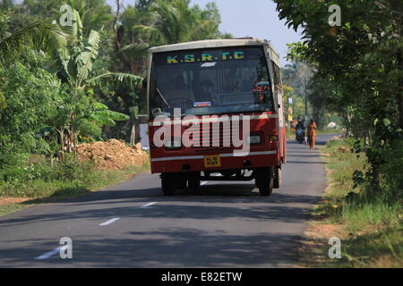 India, Kerala state, Allepey, the backwater Stock Photo - Alamy