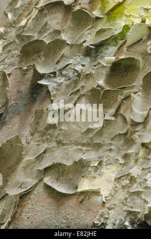abstract relationship between graffiti with hint of plaster underscore showing through cracks flaking paint algae and dampness Stock Photo
