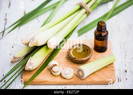 Lemongrass stalks (Cymbopogon sp. ). Stock Photo