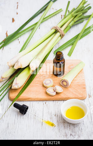 Lemongrass stalks (Cymbopogon sp. ). Stock Photo