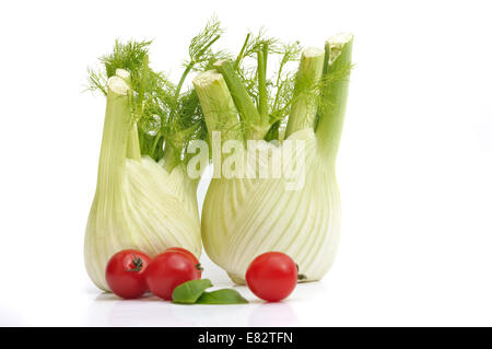 two fennel isolated on white background with cherry tomatoes Stock Photo