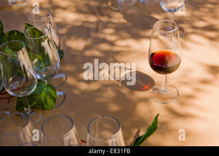 Glass full of sherry on a wooden table with other empty cups and vegetal decoration Stock Photo