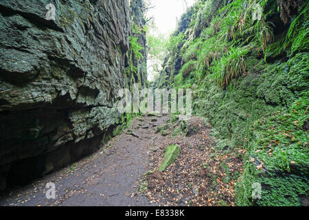 Lud's Church near to Gradbach in the Roaches hills Staffordshire Peak district England UK Stock Photo