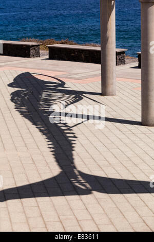 Balaennoptera boreales, sei whale skeleton on the coast at Los Silos in Tenerife, Canary Islands, Spain. Stock Photo