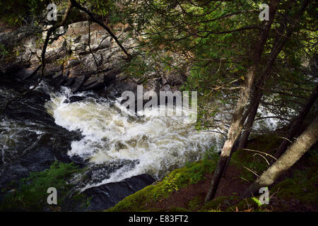 View into steep Eau Claire Gorge waterfalls of Amable du Fond river through cedar trees Calvin Ontario Canada Stock Photo