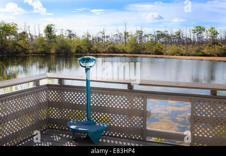 Overlook at Blue Hole pond on Big Pine Key in the Florida Keys Stock Photo