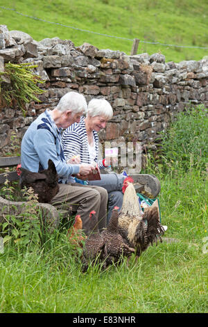 Elderly couple feeding free range chickens, Yorkshire, England, UK Stock Photo