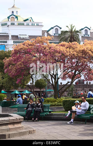 People sitting on benches on Plaza Grande (main square) in the city center in Quito, Ecuador Stock Photo