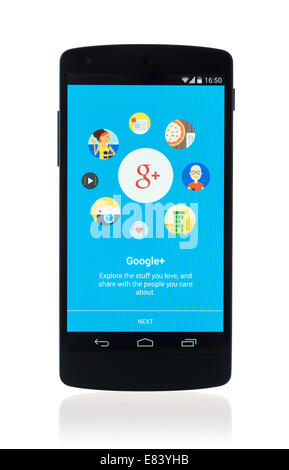 Studio shot of brand new Google Nexus 5, powered by Android 4.4 version, with Google Plus mobile application on a screen. Stock Photo