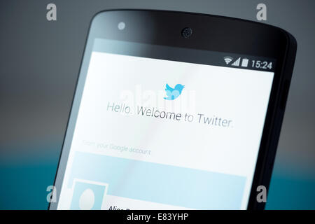 Close-up photo of brand new Google Nexus 5, powered by Android 4.4 version, with Twitter login account page on a screen. Stock Photo
