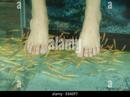 Fish Spa for foot Skin Therapy Stock Photo