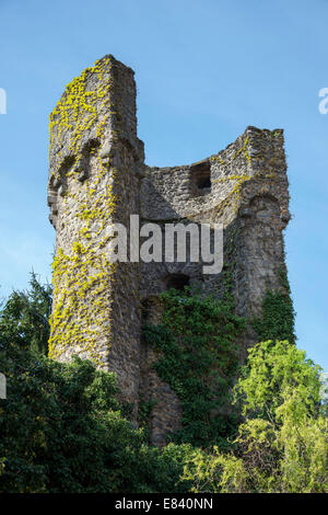 Dilgesturm tower, Steinheim am Main, Hanau, Hesse, Germany Stock Photo