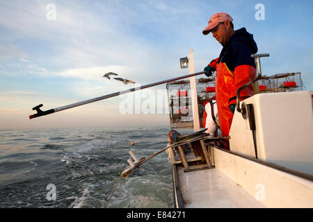 Crab Fisherman unloading crab traps into sea from fishing boat, Tangier Island, Eastern Shore, Maryland, USA. Stock Photo