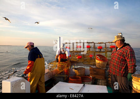 Crab fisherman unloading crab traps into sea from fishing boat, Tangier Island, Eastern Shore, Maryland, USA. Stock Photo