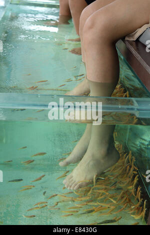 Fish Spa for foot Skin Therapy Stock Photo
