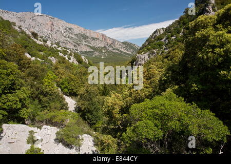 The limestone Supramonte Mountains, Gennargentu, Sardinia, Italy. Stock Photo