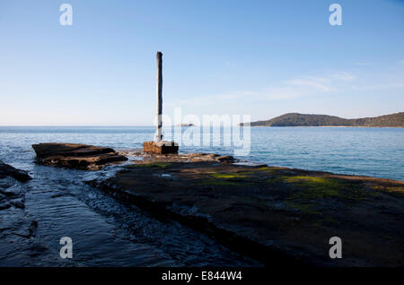 Logging anchor point for logs awaiting loading onto ships Stock Photo