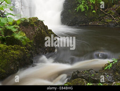 Wood of Cree waterfall in Wood of Cree RSPB Reserve Dumfries & Galloway Scotland May Stock Photo