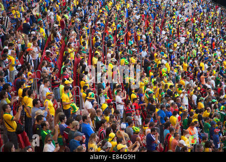 Football fans inside National Mane Garrincha Stadium for World Cup match, Brasilia, Federal District, Brazil Stock Photo