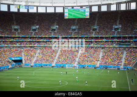 World Cup football match in National Mane Garrincha Stadium, Brasilia, Federal District, Brazil Stock Photo