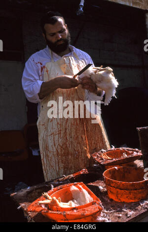 A religious Jew slaughtering chicken at the market in Mea Shearim neighborhood, an ultra-Orthodox enclave in West Jerusalem Israel Stock Photo