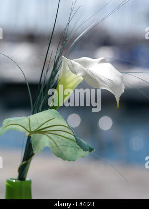 Bloom in a bistro in the port city of Mogan on Gran Canaria in Spain Stock Photo