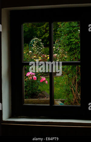 view from an interior window onto a garden Stock Photo