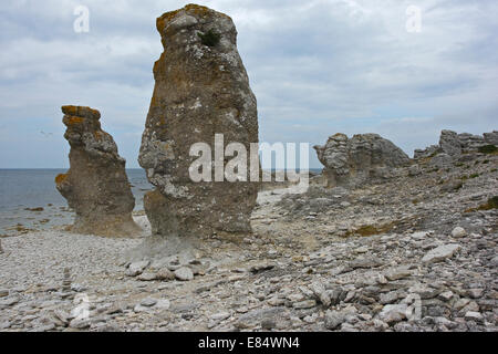 Limestone stacks called Rauks at Langhammershammer  Faroe, Gotland, Sweden, Scandinavia Stock Photo