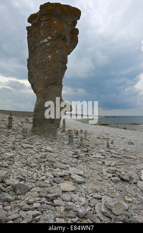 Limestone stacks called Rauks at Langhammershammer  Faroe, Gotland, Sweden, Scandinavia Stock Photo