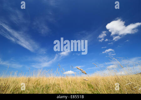 Late summer landscape. Golden grass and blue sky. Nature freedom background, plenty of copy space. Bieszczady. Stock Photo