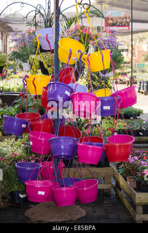 A colorful display of hanging baskets for sale Stock Photo