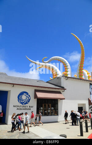 Monterey, Monterey Bay Aquarium, California, USA Stock Photo