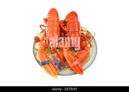 Two whole cooked lobsters on a bed of salad on a plate isolated against white Stock Photo