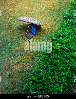 Peace of mind. Laptop computer under umbrella on grass near shrubs. Concept of information security or insurance Stock Photo