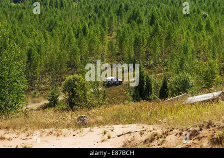 Races on a rally-raid - young forest. Stock Photo