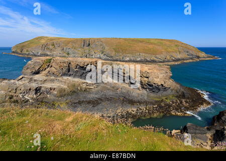 Cardigan Island Stock Photo