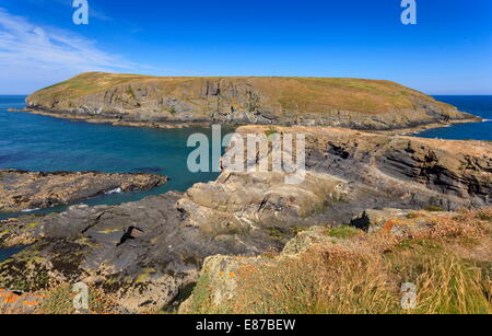 Cardigan Island Stock Photo