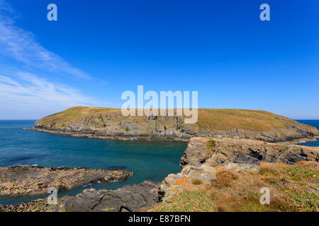 Cardigan Island Stock Photo