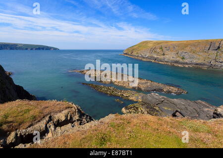 Cardigan Island Stock Photo