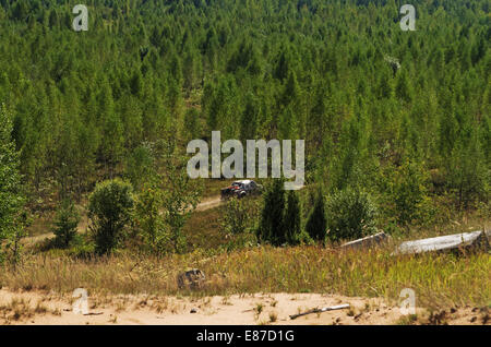 Races on a rally-raid - young forest. Stock Photo